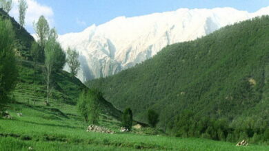 آشنایی با طبیعت زیبای سبز کوه شهرکرد (+ تصاویر)