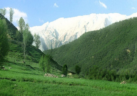 آشنایی با طبیعت زیبای سبز کوه شهرکرد (+ تصاویر) آشنایی با طبیعت زیبای سبز کوه شهرکرد (+ تصاویر)