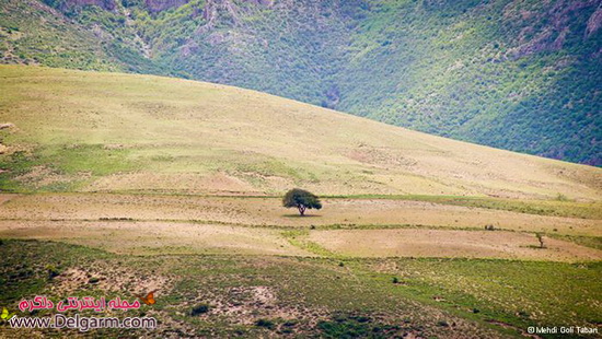 بهشت روی زمین در ایران چشمه های باداب سورت