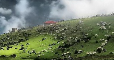 ییلاقات ماسال، شهری در استان گیلان (+ تصاویر) ییلاقات ماسال، شهری در استان گیلان (+ تصاویر)