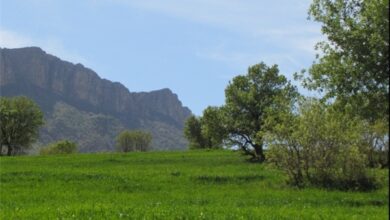 کرمانشاه بهشتی دیگر برای گردشگران (+ تصاویر)