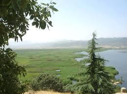 شهر کرمان