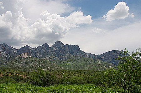 جاذبه‌های روستای افجه, دشت هویج