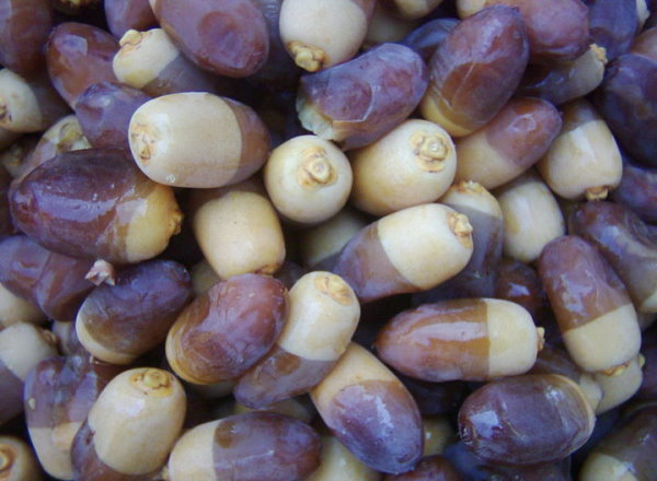 شهر آبادان