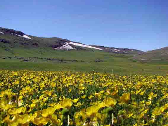 با زیباترین شهر ایران ( طالش ) بیشتر آشنا شوید