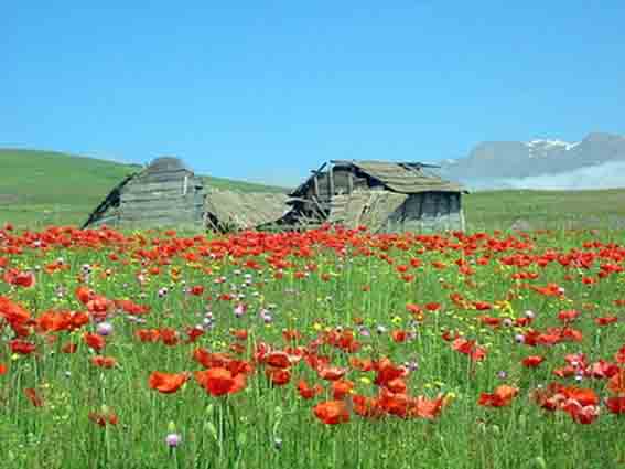 با زیباترین شهر ایران ( طالش ) بیشتر آشنا شوید