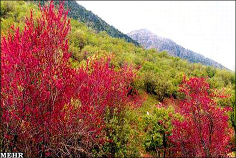 دره مداد رنگی های ایلام (+ تصاویر)