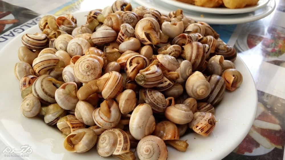 علت مرگ حلزون
