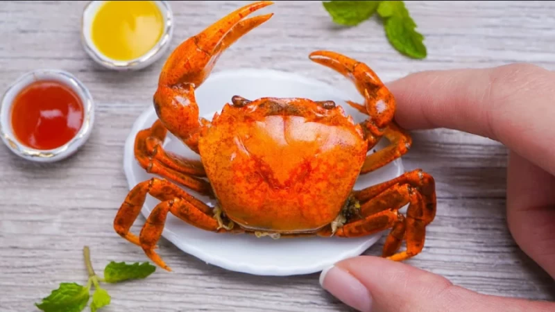خرچنگ ها چند پا دارند ؟ چگونه غذا میخورند و چقدر عمر میکنند ؟