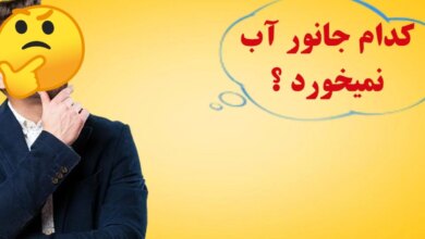 این جانور هرگز آب نمی نوشد؟ (2 نکته مهم)