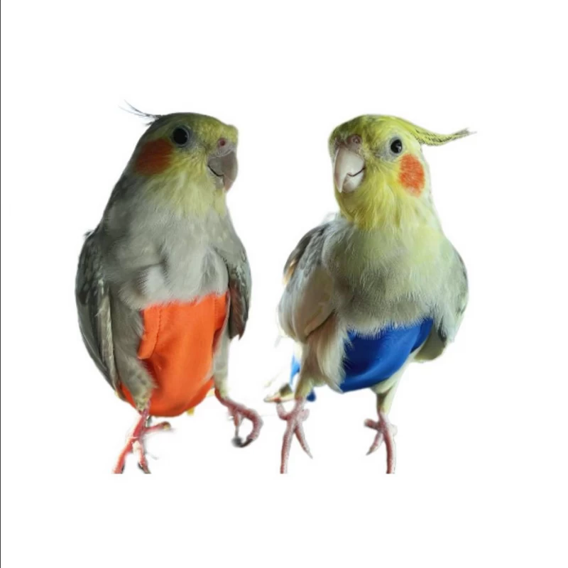 پوشک عروس هلندی 