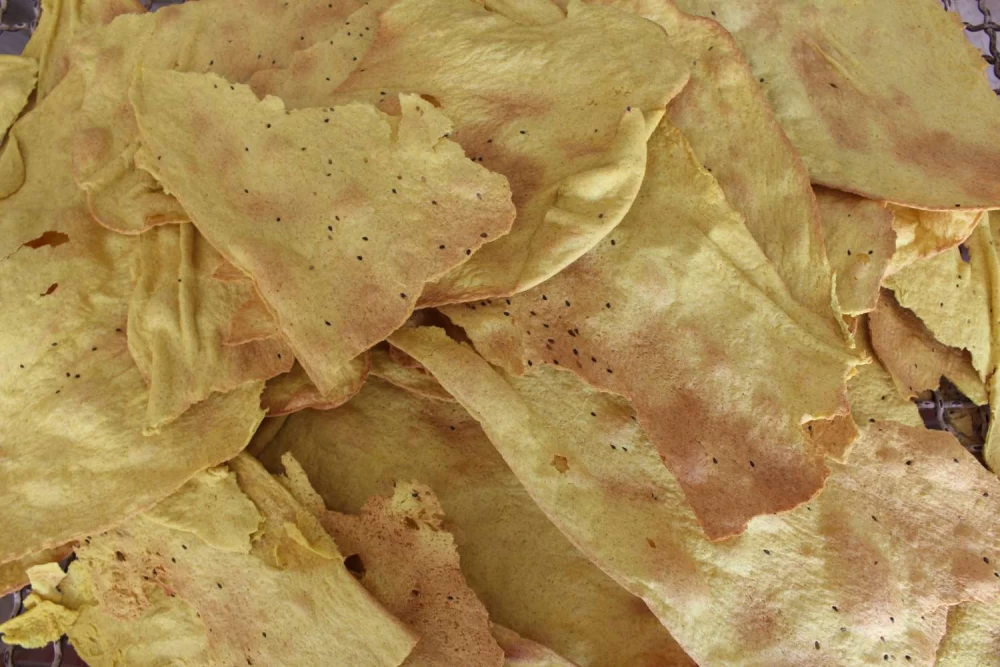 مصرف نان برای سگ مجازه ؟