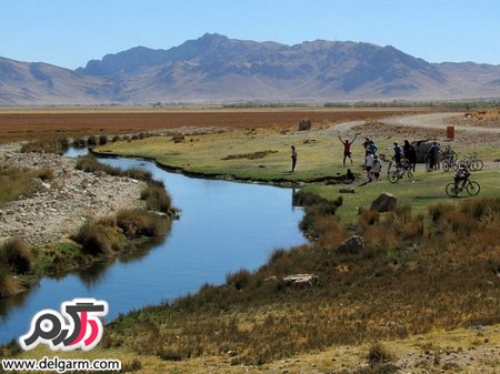 آشنایی با تالاب گندمان بروجن دارای پرندگان کمیاب (+ تصاویر)