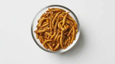 روش پرورش میل ورم و موارد مصرف آن (2 نکته مهم)