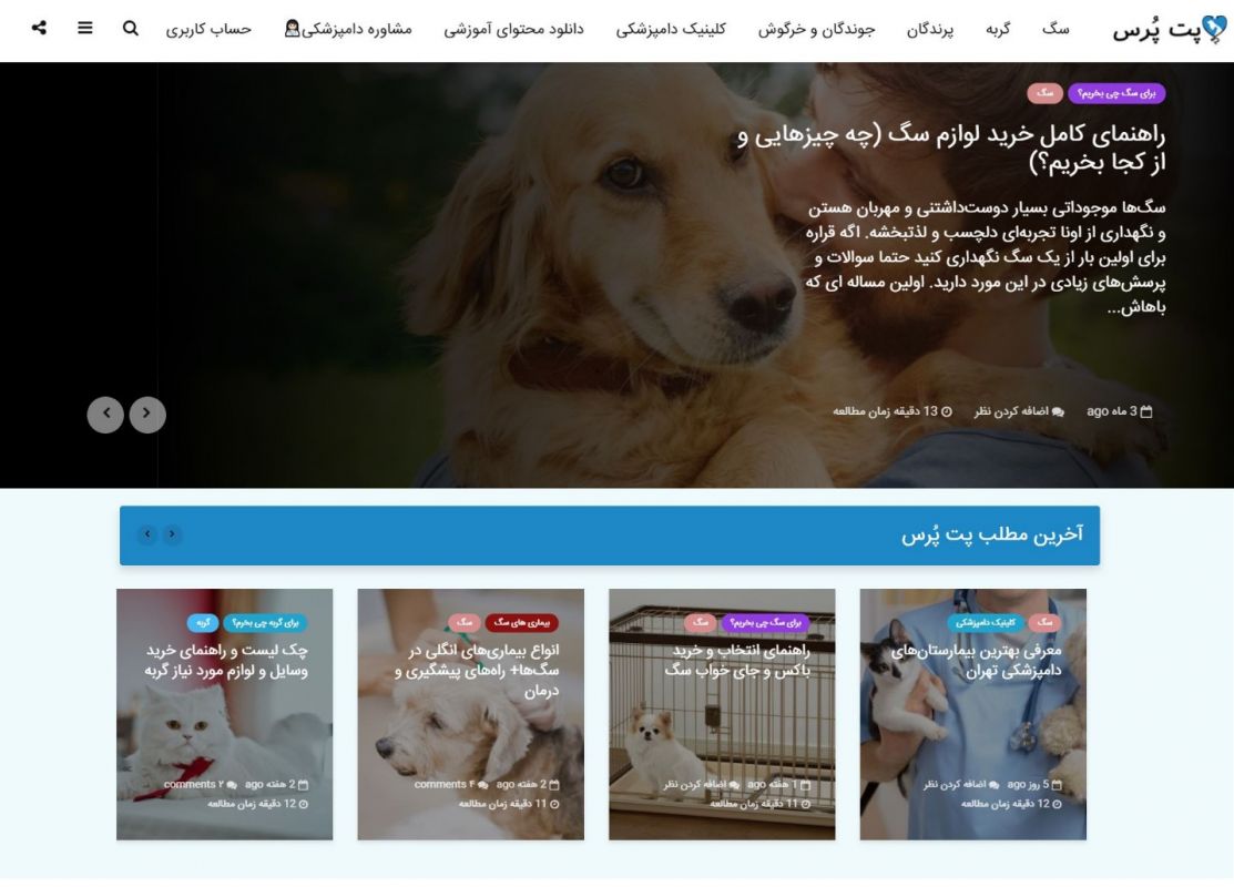 چطور با کمترین هزینه سگ‌مان را تربیت کنیم؟