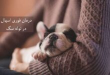 اسهال در توله سگ :: علل ، تشخیص و درمان فوری (2 نکته مهم)