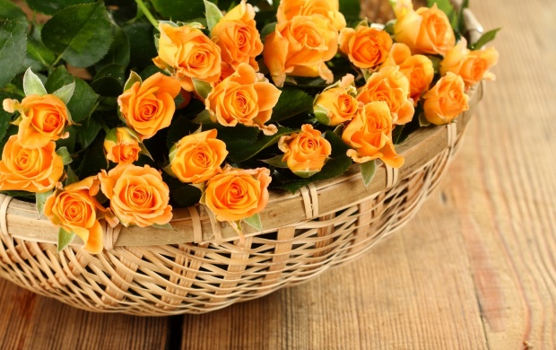 تصاویری زیبا از گل های زیبا سری ششم (2 نکته مهم)