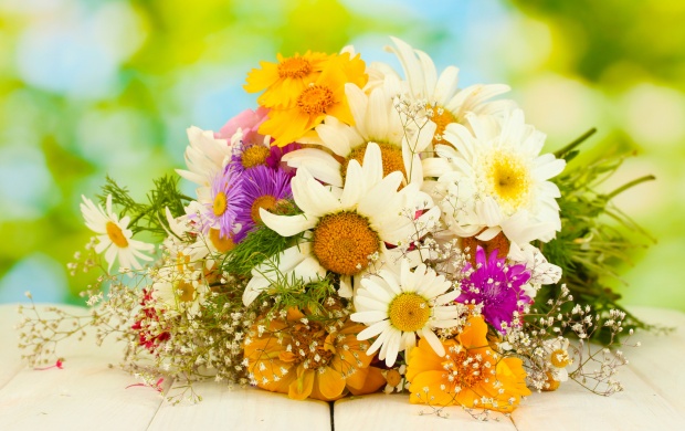 سری سوم تصاویری زیبا از گل‌های زیبا