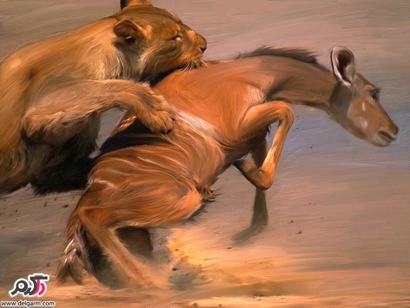 حیوانات و حیات وحش سری چهارم