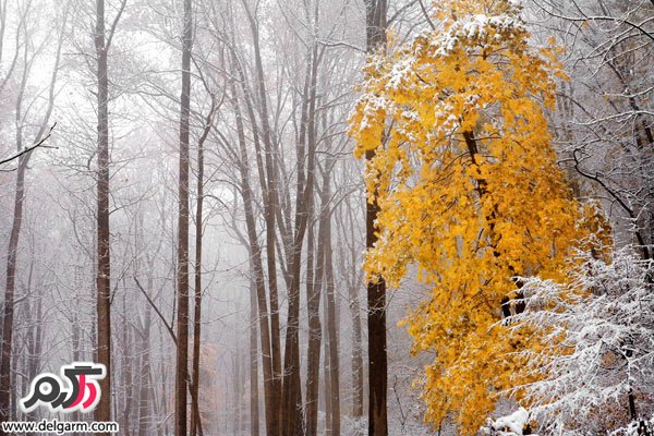 عکس‌های زیبا از طبیعت2