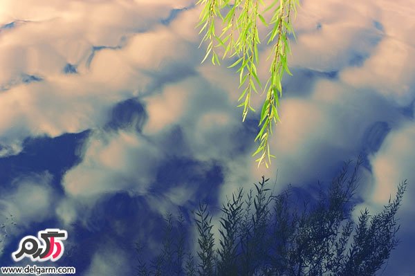 تصاویر زیبایی از طبیعت