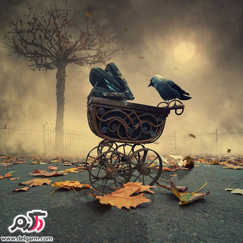 تصاویر شگفت‌انگیز