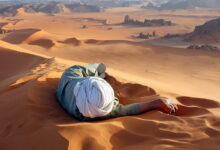تصاویر برتر نشنال جئوگرافیک ژوئن 2014 (2 نکته مهم)