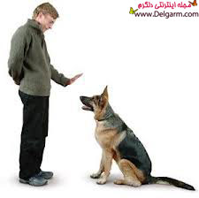 تربیت و نگهداری سگ‌ها