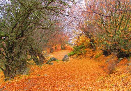 طبیعت زیبا ی ایران-گروه اول  (2 نکته مهم)