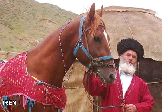حیوان