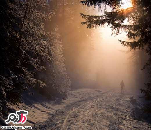 طبیعت برفی فصل زمستان