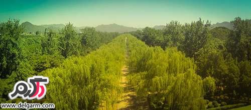 طبیعت بکر سراسر جهان