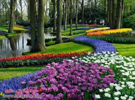 تصاویر زیباترین پارک های دنیا (2 نکته مهم)