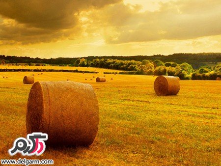 عکس طبیعت از فصول مختلف سال