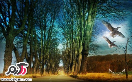 عکس طبیعت از فصول مختلف سال