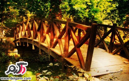 عکس طبیعت از فصول مختلف سال