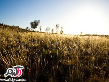 عکس طبیعت از فصول مختلف سال