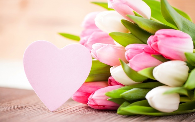 تصاویری زیبا از گل های زیبا سری دوازدهم
