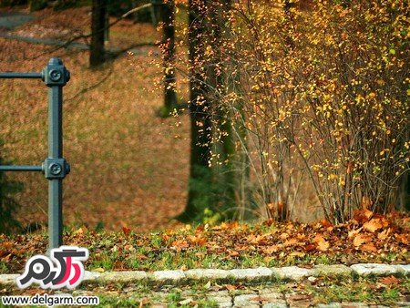 عکس‌هایی از طبیعت زیبای ایران و جهان