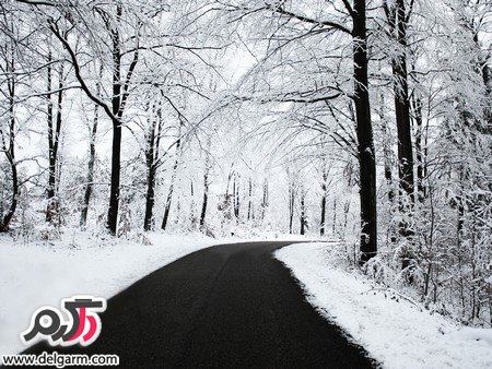 عکس‌هایی از طبیعت زیبای ایران و جهان
