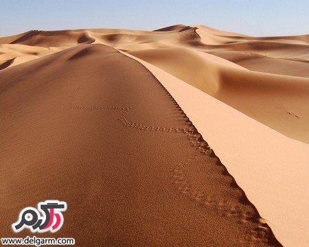 عکس‌های زیبای طبیعت دنیا