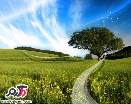 عکس‌های زیبای طبیعت دنیا