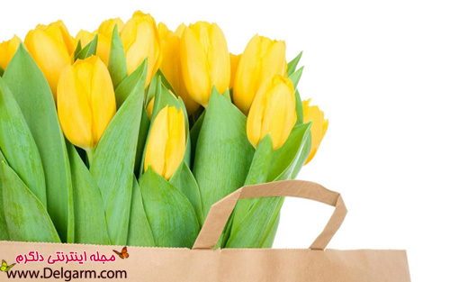 گل لاله زرد زیبا در عین حال باورنکردنی (2 نکته مهم)