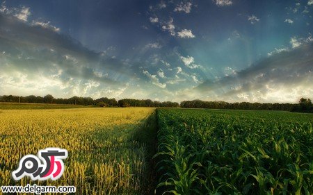 تصاویر فصلی و زیبای کره ی زمین (2 نکته مهم)