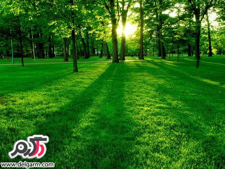 عکس‌های زیبا از فصل‌های مختلف زمین