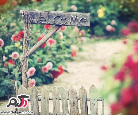 عکس‌های جذاب از زیبایی‌های طبیعت