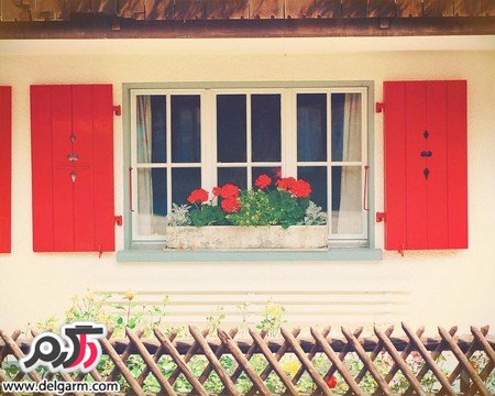 عکس‌های جذاب از زیبایی‌های طبیعت