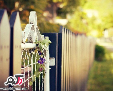 عکس‌های جذاب از زیبایی‌های طبیعت