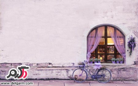 عکس‌های جذاب از زیبایی‌های طبیعت
