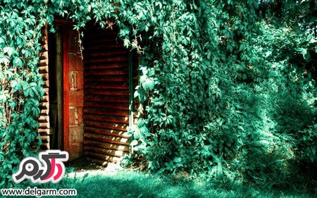 عکس‌های جذاب از زیبایی‌های طبیعت